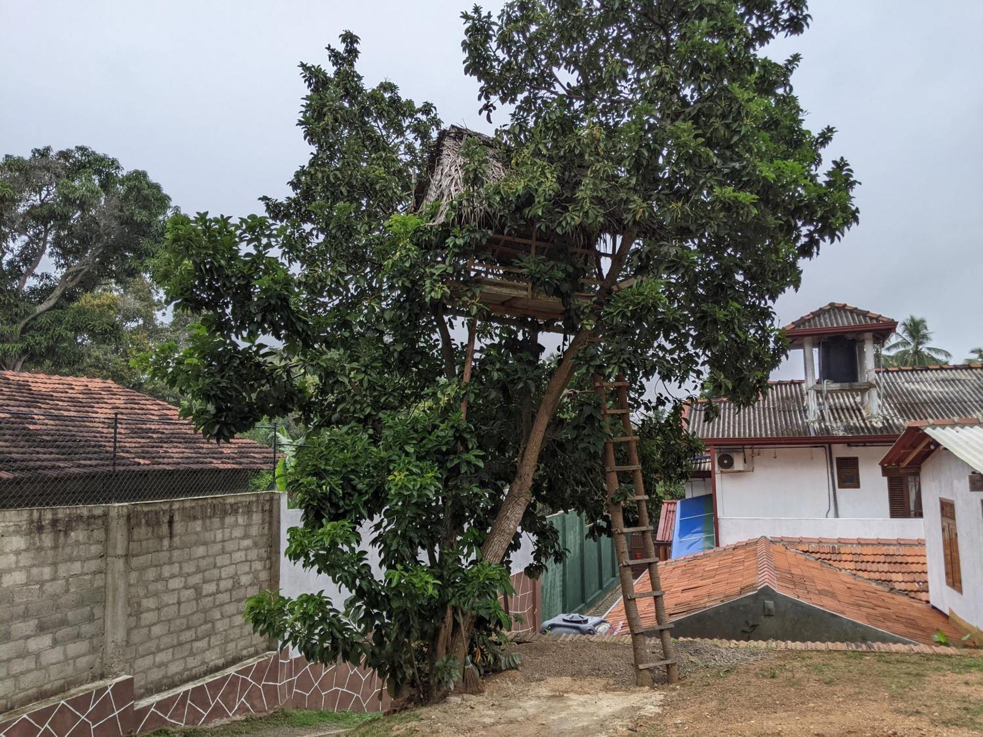 Serendip Villa Holiday Home Talalla Sri Lanka Talalla South Quarto foto